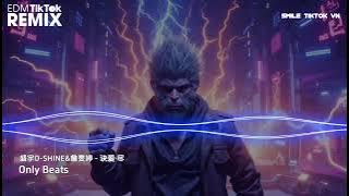 盛宇D-SHINE&詹雯婷 - 诀爱·尽 (抖音DJ版) Quyết Ái·Tận (Remix) 『拔情訣愛的最後，指尖纏繞的溫柔，化作一把鋒利劍刺嚮了我』🎧抖音最火大背景音乐