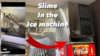 Hoshizaki ice machine cleaning  so bad it stopped making ice