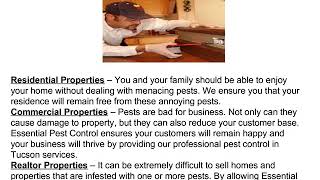 Pest Control Tucson AZ
