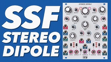 Steady State Fate Stereo Dipole // Eurorack quad filter, vco, slew, LFO + more!!!