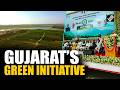Namo Van: Million Trees Transform Gujarat’s Morbi into Green Oasis