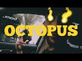 Saa  octopus clip officiel