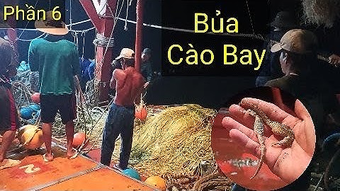 GHE CÀO KIÊN GIANG ĐÁNH BẮT HẢI SẢN TRÊN VÙNG BIỂN PHÚ QUỐC - Phần 6 | Anh Ngư Phủ