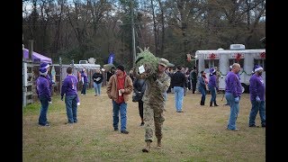 Free Christmas Trees For Troops
