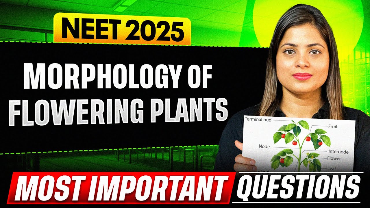 MORPHOLOGY OF FLOWERING PLANTS - Most Important Questions for NEET 2025 ...