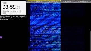 The Buzzer/UVB-76(4625Khz) September 17th 2020 08:57UTC Voice message