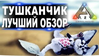 Тушканчик (Jerboa) в АРК. Лучший обзор: приручение, разведение и способности в ark. Тушканчик (Jerboa) в АРК. Лучший обзор: приручение, разведение и способности в ark.