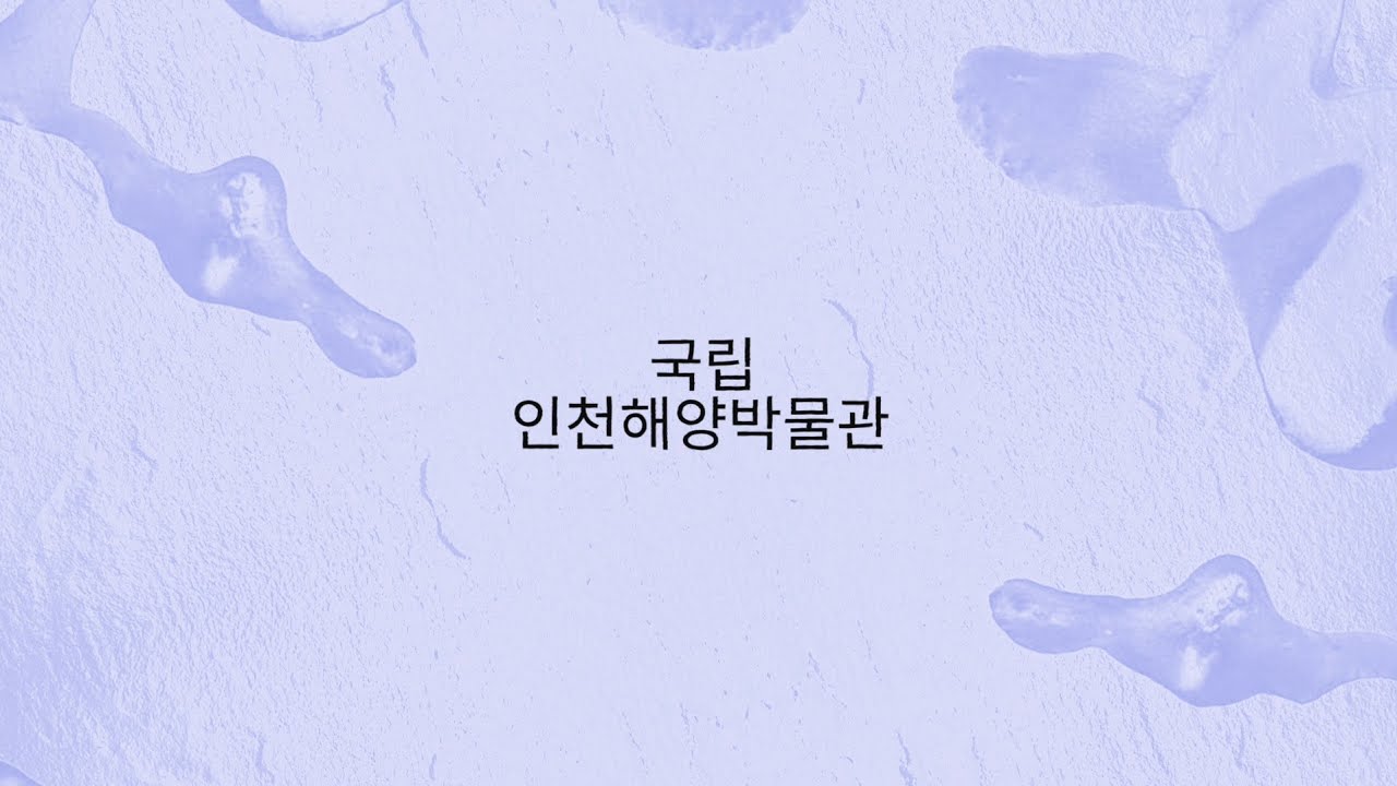 20250126 #인천광역시 #인천 #incheon #국립인천해양박물관 #incheonnationalmaritimemuseum #박물관 #museum #뮤지엄