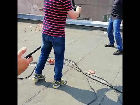 Группа харизма лео