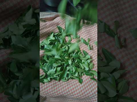 Karivepaku Podi | Healthy Andhra Style Recipe