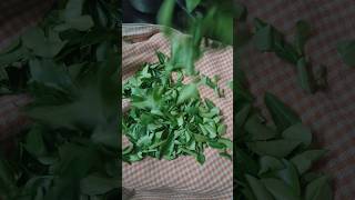 Karivepaku Podi | Healthy Andhra Style Recipe