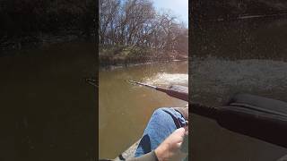 Be Careful When You Hook a Fish Like This! #shorts #fishing #catfishing