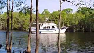Early Morning Cruiser on The Waterway Socastee SC