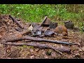 Коп по войне - Забытый опорник. Блиндаж минус 20 ( Forgotten strong point) / Searching with MD
