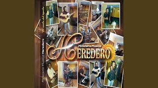 Video thumbnail of "Ministerio Musical Heredero - Hay momentos"