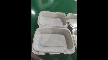 Thermoforming machine for biodegradable clamshell box