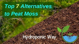 Top 7 Alternatives to Peat Moss | Hydroponic Way