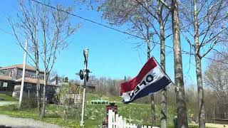 Drive Nova Scotia - Tatamagouche nursery to nursery and quick town tour