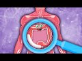 How YOUR Large Intestine Works! | KLT Anatomy