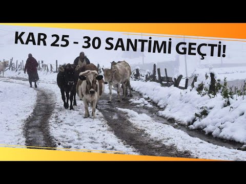 Karadeniz’in yüksek kesimlerinde kar kalınlığı 30 santimetreyi buldu!