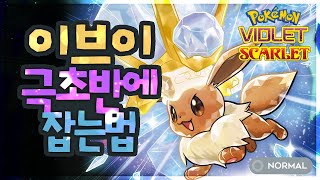 이브이 모든 파밍 위치공략🦊 포켓몬 스칼렛 바이올렛