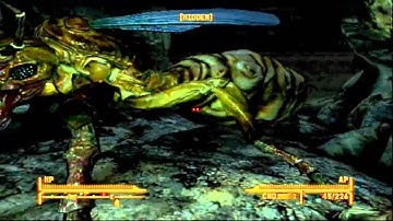 Fallout New Vegas| Death of the Giant Ant Queen + Location