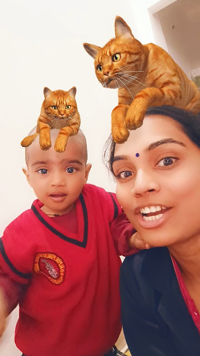 Bolli boli meow meow 😻😻😺🐾😹🍒🍭🍭🌺 #funny #shorts #viralshorts #trending #billi #cat #meow