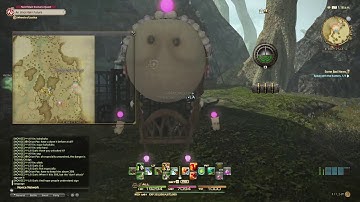 FFXIV HW : Lv52 Some Bad News - Walkthrough