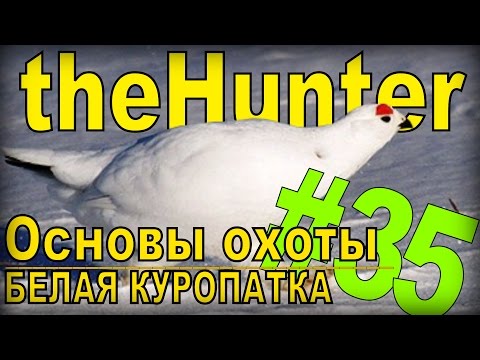 theHunter- Белая куропатка [Основы охоты] #35