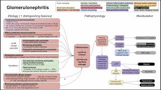 Glomerulonephritis (mechanism of disease)