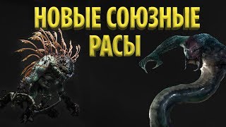видео: ТОП 10 НОВЫХ СОЮЗНЫХ РАС, КОТОРЫЕ МОГУТ ПОЯВИТЬСЯ В WORLD OF WARCRAFT картинка: ТОП 10 НОВЫХ СОЮЗНЫХ РАС, КОТОРЫЕ МОГУТ ПОЯВИТЬСЯ В WORLD OF WARCRAFT
