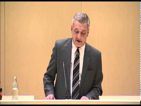 გიორგი ვოლსკის გამოსვლა პარლამენტის სხდომაზე