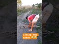 lasing ang kahoy 🤣😂#shortsfeed #viral #millionviews