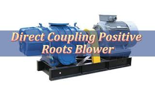 Direct Coupling Positive Roots Blower, manufacturer, supplier, factory, wholesale