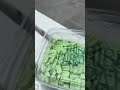 Buying pounds of PEZ candy