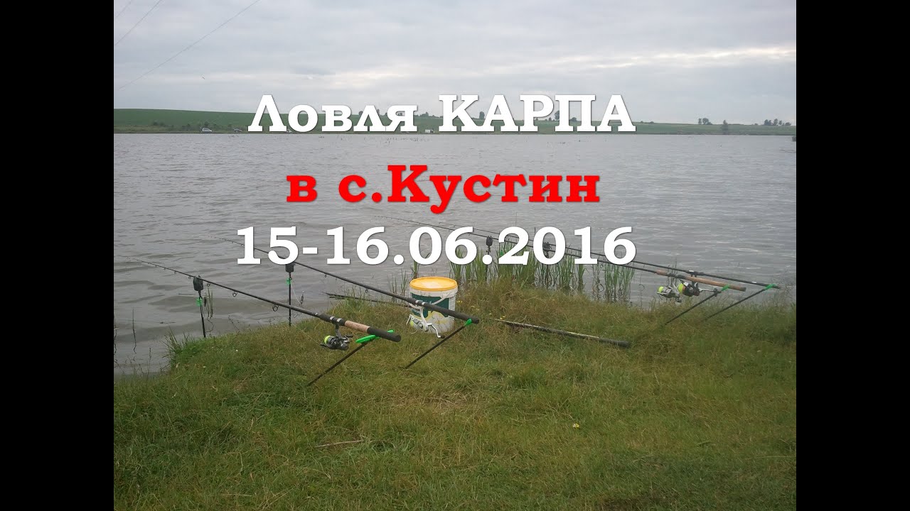 Ловля карпа в селі Кустин