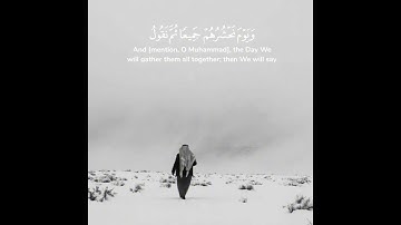 سورة الأنعام | الشيخ محمد أيوب