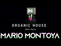 Mario montoya  organic house after party