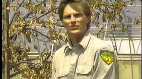 Proper Tree Harvesting Part 2