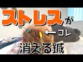 【鍼】鍼でストレスが消える！？