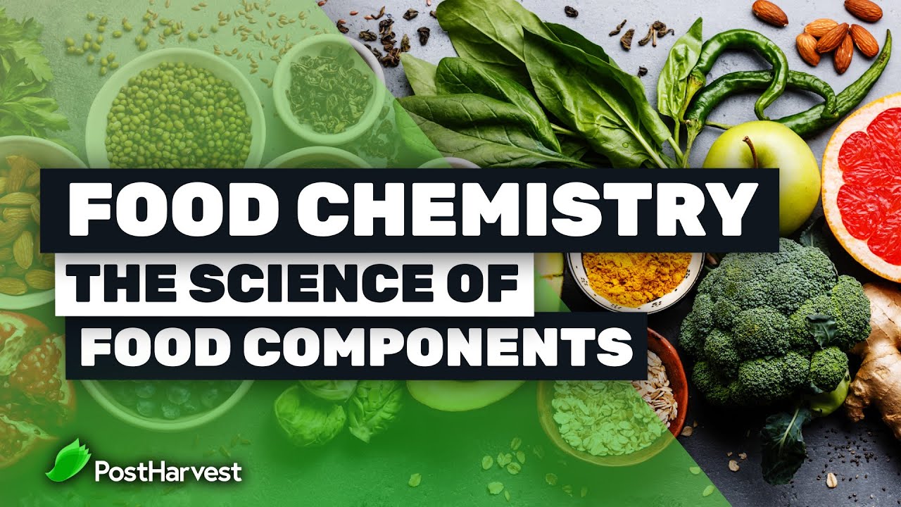 Food Chemistry  The Science of Food Components 