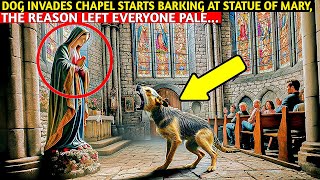 Dog Invades Mass, and Barks at Statue of Mary, Everyone Turned Pale for the Reason...