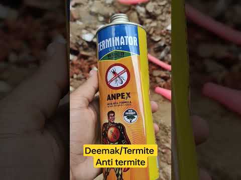 Anti Termite/deemak for