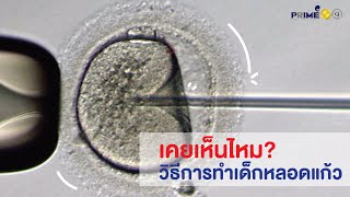 เคยเห็นไหม? วิธีการทำเด็กหลอดแก้ว! | Prime Fertility Clinic