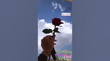 اجمل اغنيه عشق يادقه حلوه في القلب 