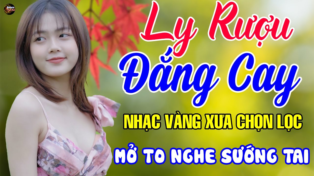 Ly Rượu Đắng Cay - Mở Thật To Liên Khúc Rumba Hải Ngoại Còn Mãi Theo Thời Gian,Nhạc Phòng Trà Dễ Ngủ