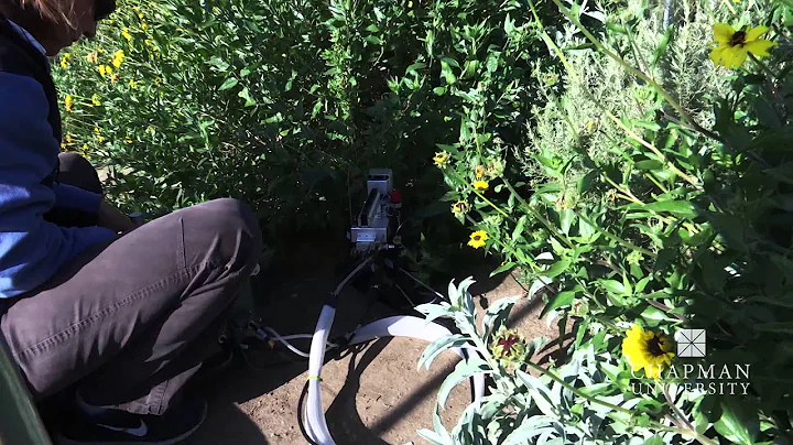 Dr. Jennifer Funk: Researching Drought Resistant P...