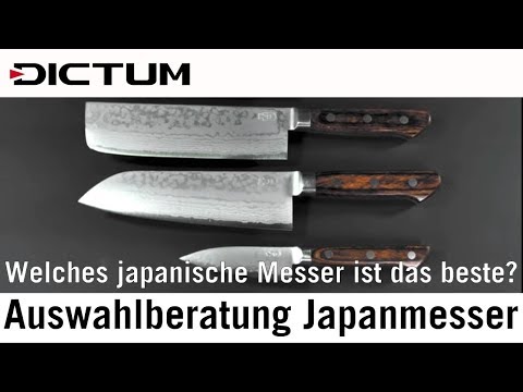 Auswahlberatung Japanmesser - Welches japanische Messer kaufen? DICTUM