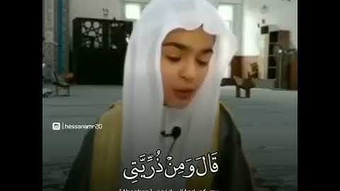 القارئ الشبل محمد أمين الكردي يحاكي فضيلة الشيخ ياسر الدوسري