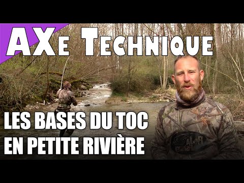 Vidéo: Quelles races sont plus sujettes au TOC?